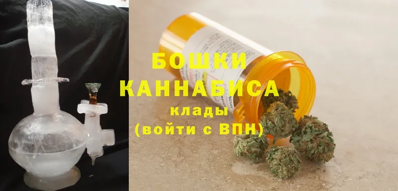 где купить наркотик  Спасск-Рязанский  Конопля SATIVA & INDICA 